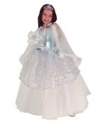 Gümüş Prenses Kostümü 9-11 Yaş arası